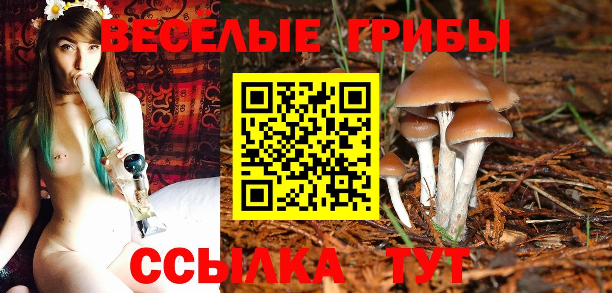 Псилоцибиновые грибы GOLDEN TEACHER Уварово
